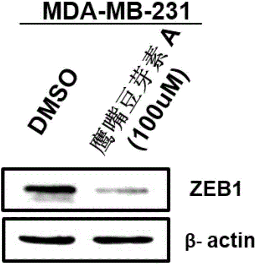 澳门威斯尼斯8883入口